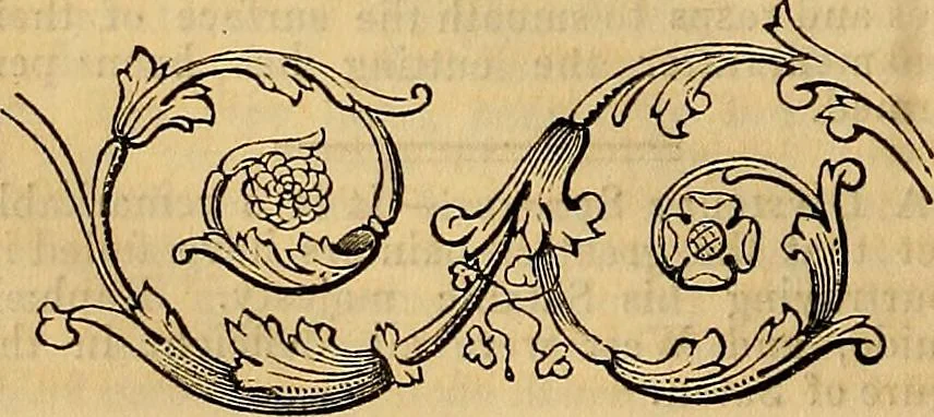 An illustration from The Decorator's assistant, 1847, leaf 75
