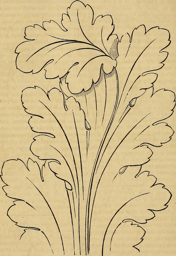 An illustration from The Decorator's assistant, 1847, leaf 751
