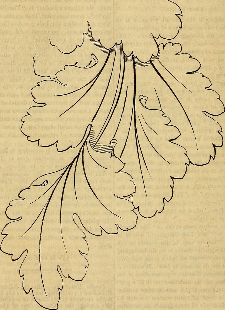 An illustration from The Decorator's assistant, 1847, leaf 763