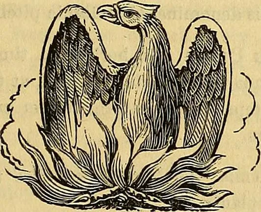 An illustration from The Decorator's assistant, 1847, leaf 764