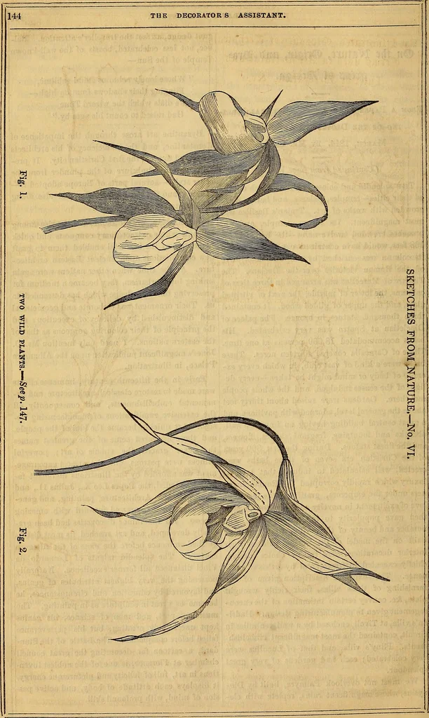 An illustration from The Decorator's assistant, 1847, leaf 811