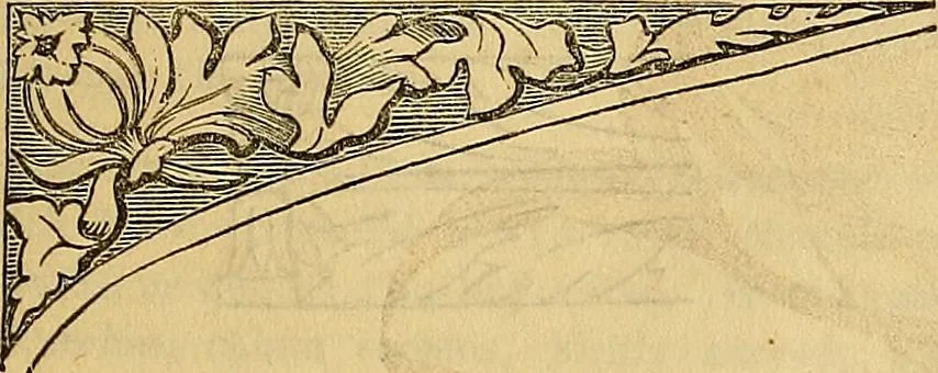 An illustration from The Decorator's assistant, 1847, leaf 812
