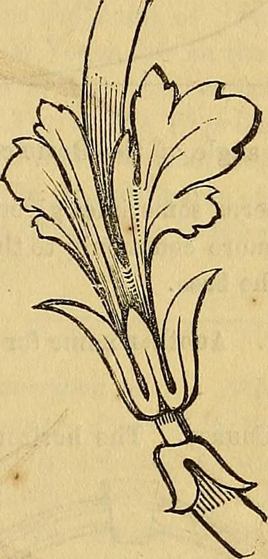 An illustration from The Decorator's assistant, 1847, leaf 812