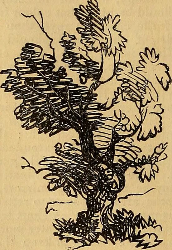 An illustration from The Decorator's assistant, 1847, leaf 99