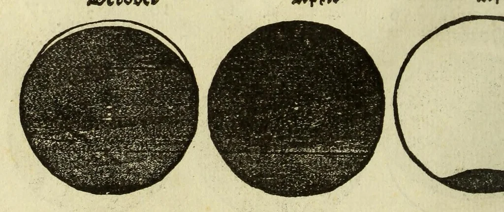 An illustration from De cosmographie va[n] Pe. Apianus. En[n] hoeme[n] de carten der lantscape[n] maect va[n] Ge[m]ma Phrysio bescreue[n], allen co[n]stigen en[n] subty len minsche[n] ter liefde[n] nu ierst in duytsche gesedt, 1537, leaf 38
