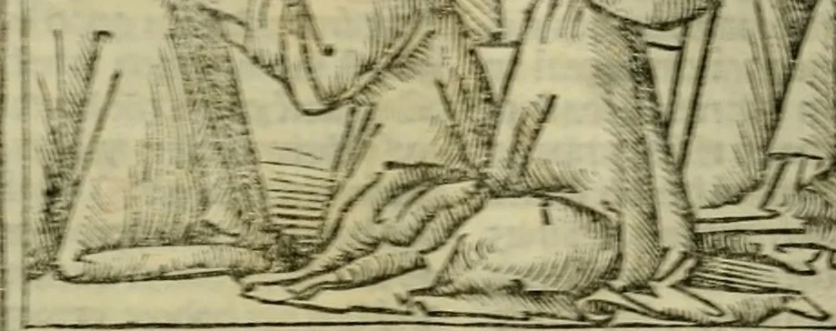 An illustration from Decretu[m] Gratiani : cu glossis dñi Joannis Theutonici prepositi Alberstatensis [et] annotationibus Bartholomei Brixiensis : [cum] diuisionibus Archidiaconi : [cum] Casibus a Bene., cõpositis per Bart. Brixi., correctis [et] pro clariore itellectu pluribus in locis extensis : [cum] concordia ad Bibliam : [cum] tabula marginalium glossularu[m] : [cum tabula] omniu canonu [et] concilio[rum] : [cum] Margarita Decreti : [cum] flosculis totius Decretia domio Joanne diacono compositis : [cum] additione in margine litteraru[m], quo minusculi characteres lineis intercepti, citius legenti appareant, 1514, leaf 163