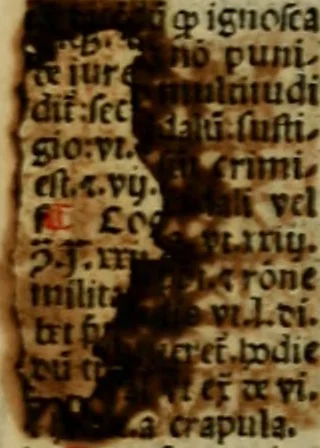 An illustration from Decretu[m] Gratiani : cu glossis dñi Joannis Theutonici prepositi Alberstatensis [et] annotationibus Bartholomei Brixiensis : [cum] diuisionibus Archidiaconi : [cum] Casibus a Bene., cõpositis per Bart. Brixi., correctis [et] pro clariore itellectu pluribus in locis extensis : [cum] concordia ad Bibliam : [cum] tabula marginalium glossularu[m] : [cum tabula] omniu canonu [et] concilio[rum] : [cum] Margarita Decreti : [cum] flosculis totius Decretia domio Joanne diacono compositis : [cum] additione in margine litteraru[m], quo minusculi characteres lineis intercepti, citius legenti appareant, 1514, leaf 88