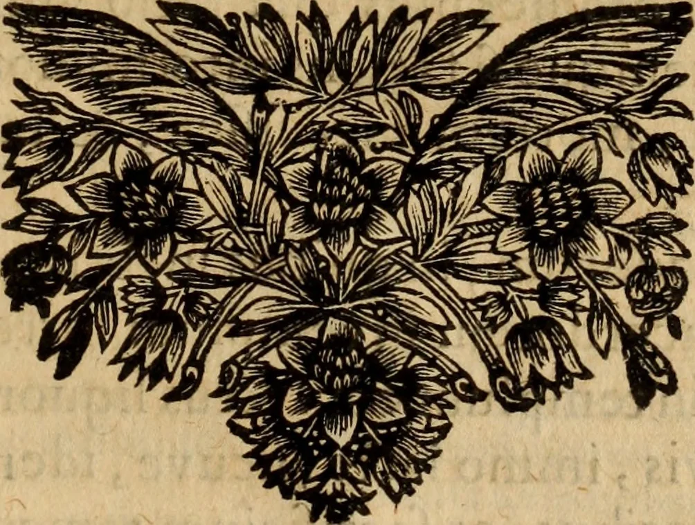 An illustration from De cultu divino ... secunda lege ... liber VIII : ex hebraeo latinum fecit ... Ludovicus de Compiegne de Veli, 1678, leaf 110