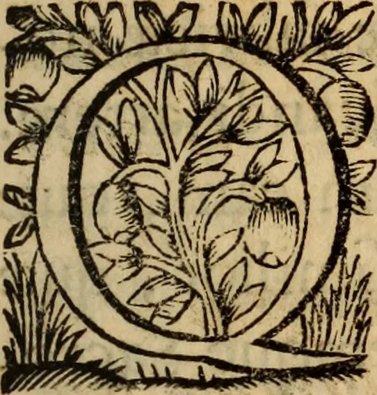 An illustration from De cultu divino ... secunda lege ... liber VIII : ex hebraeo latinum fecit ... Ludovicus de Compiegne de Veli, 1678, leaf 16