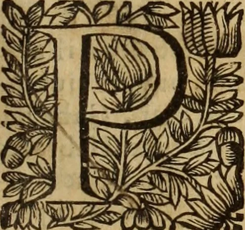 An illustration from De cultu divino ... secunda lege ... liber VIII : ex hebraeo latinum fecit ... Ludovicus de Compiegne de Veli, 1678, leaf 28