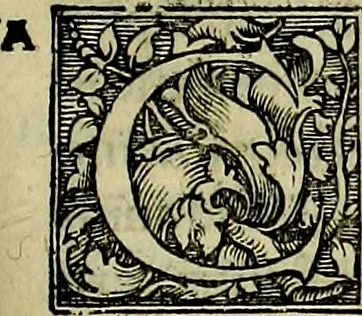 An illustration from De deis gentivm, varia & multiplex historia, in qua simul de eorum imaginib. & cognominib. agitur, vbi plurima etiâ hactenus multis ignota explicantur, & pleraque clarius tractantur, 1548, leaf 602