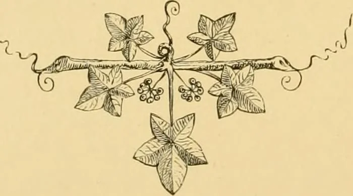 An illustration from Dedication memorial of the new Masonic temple, Boston, 1868, leaf 123