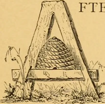 An illustration from Dedication memorial of the new Masonic temple, Boston, 1868, leaf 34