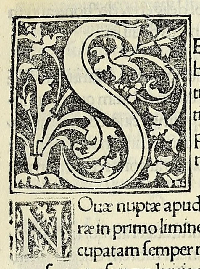 An illustration from De dictis factisq; memorabilibus collectanea:, 1509, leaf 119