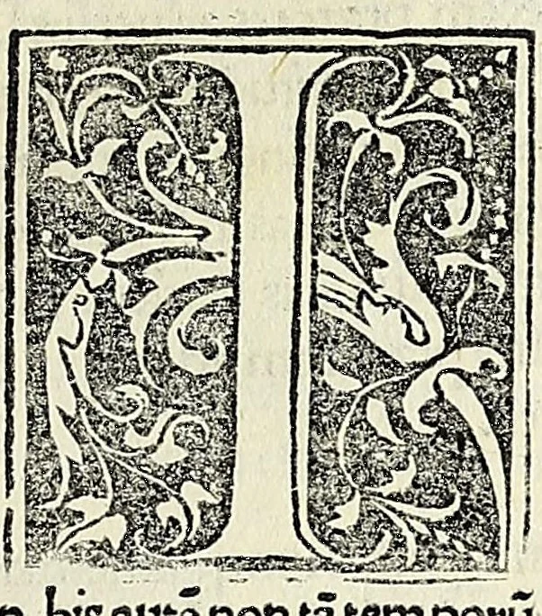 An illustration from De dictis factisq; memorabilibus collectanea:, 1509, leaf 225