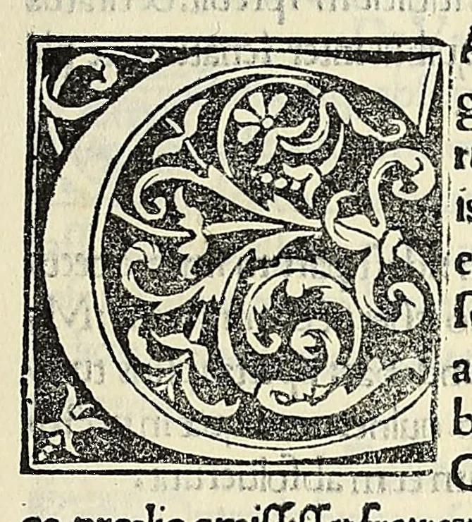 An illustration from De dictis factisq; memorabilibus collectanea:, 1509, leaf 495