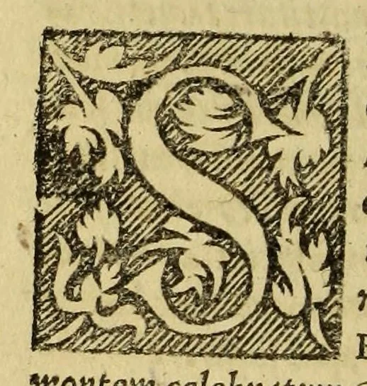 An illustration from De dimensione terræ et geometrice numerandis locorum particularium interuallis ex doctrina triangulorum sphæricorum & canone subtensarum liber, : denuo editus, sed auctius multo & correctius, quam antea., 1554, leaf 290