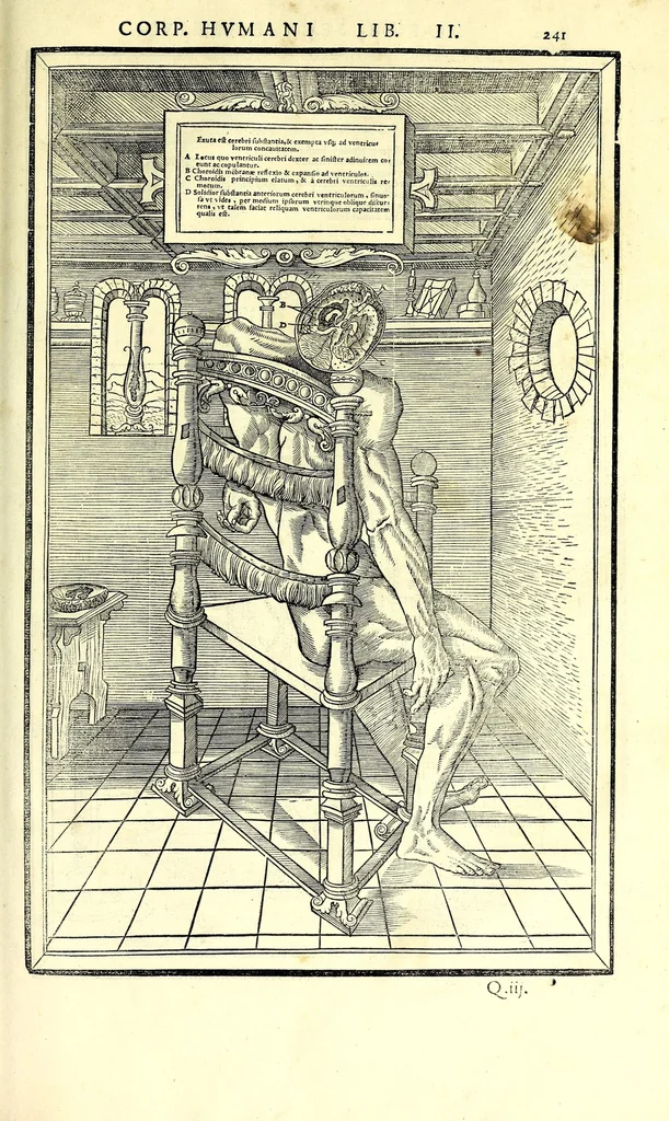 An illustration from De dissectione partium corporis humani libri tres, 1545, leaf 273