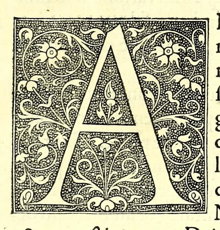 An illustration from De dissectione partium corporis humani libri tres, 1545, leaf 29