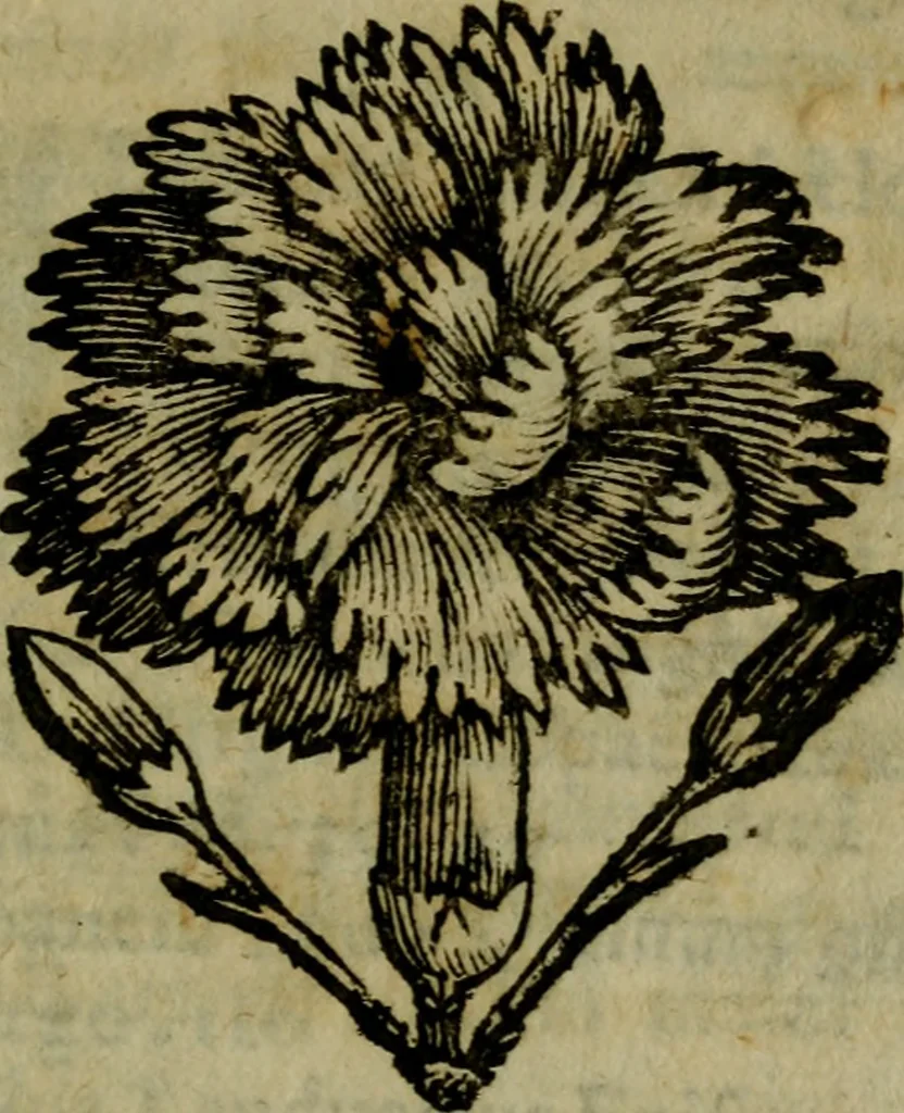 An illustration from De diua virgine Copacauana in Peruano Noui Mundi regno celeberrima liber vnus : quo eius origo & miracula compendio descripta, 1656, leaf 134