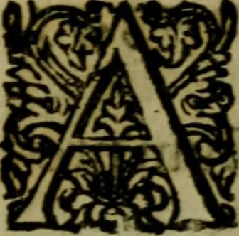 An illustration from De diua virgine Copacauana in Peruano Noui Mundi regno celeberrima liber vnus : quo eius origo & miracula compendio descripta, 1656, leaf 136