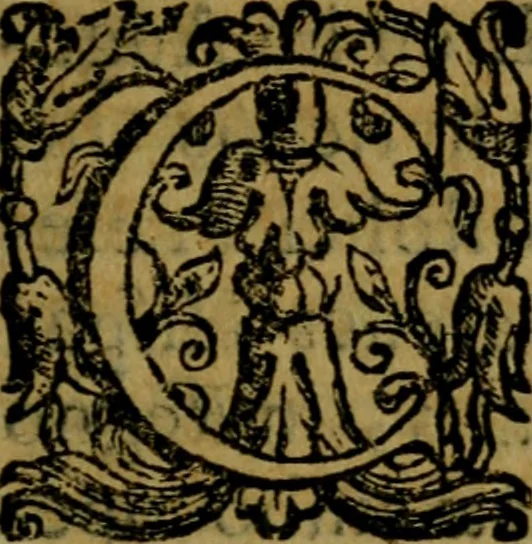 An illustration from De diua virgine Copacauana in Peruano Noui Mundi regno celeberrima liber vnus : quo eius origo & miracula compendio descripta, 1656, leaf 34