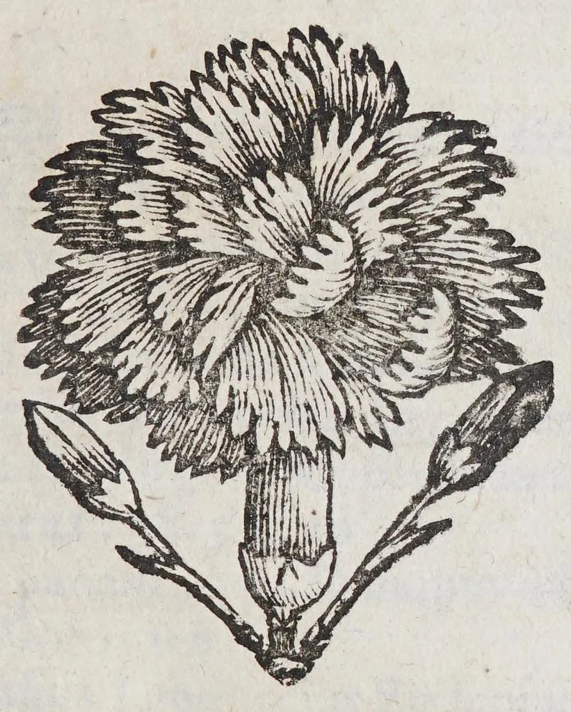 An illustration from De Diua Virgine, Copacauana, in Peruano Noui Mundi regno celeberrima. Liber vnus. : Quo eius origo, & miracula compendio descripta., 1656, leaf 135