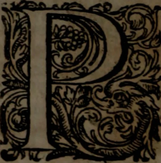 An illustration from De dominio seu imperio maris Jul. Pacii, Hug. Grotii, Jac. Gothofr., Mart. Schoockii, & aliorum dissertationes, 1669, leaf 63