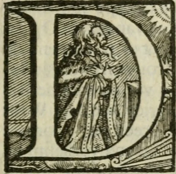 An illustration from De drie boecken der medicijnsche aenmerkingen : in 't Latijn beschreven, 1650, leaf 126