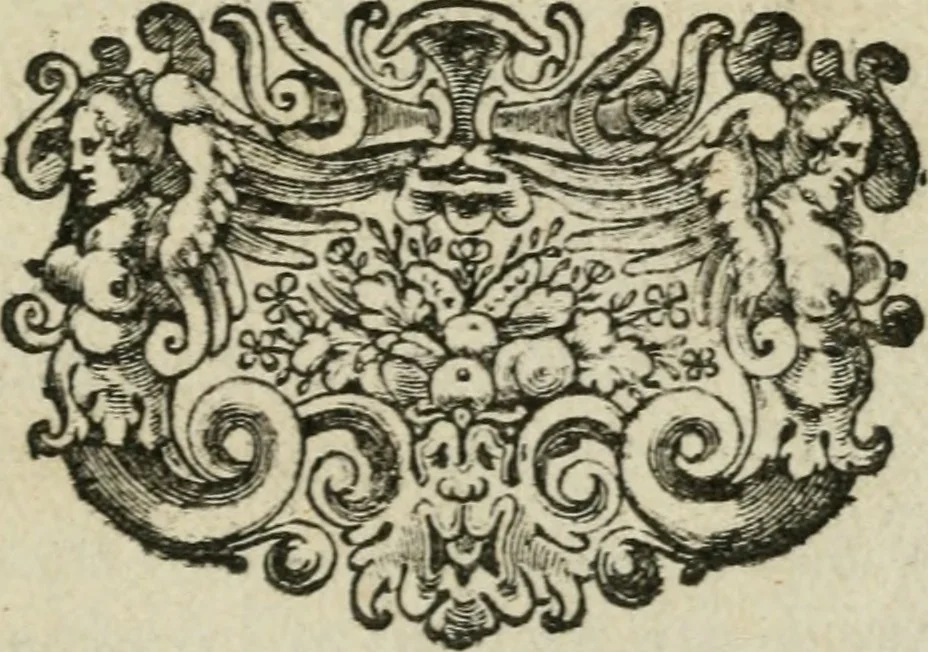 An illustration from De drie boecken der medicijnsche aenmerkingen : in 't Latijn beschreven, 1650, leaf 8