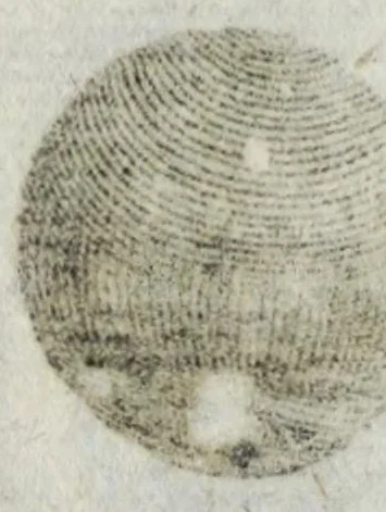 An illustration from De eclipsi solari anno MDCLIV die XII Augusti, in Europa, a pluribus spectata tubo optico, 1662, leaf 11