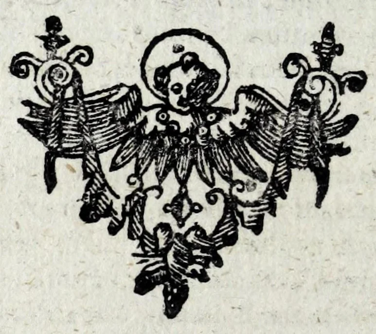An illustration from De eclipsi solari anno MDCLIV die XII Augusti, in Europa, a pluribus spectata tubo optico, 1662, leaf 114
