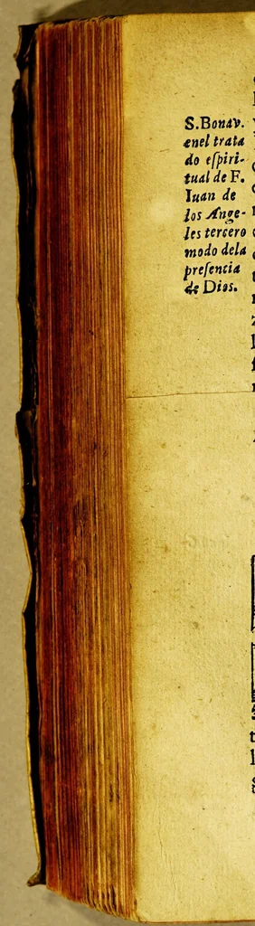 An illustration from De el bien excellencias y obligaciones de el estado clerical y sacerdotal, 1615, leaf 554