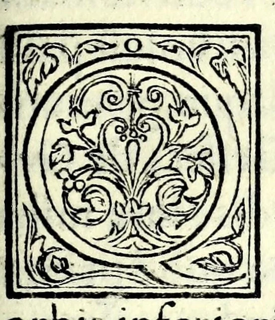 An illustration from De Etruriae regionis : quae prima in orbe Europaeo habitata est, originibus, institutis, religione & moribus, & imprimis de aurei saeculi doctrina et uit a praestantissima quae in diuinationis sacrae usu posita est, 1551, leaf 183