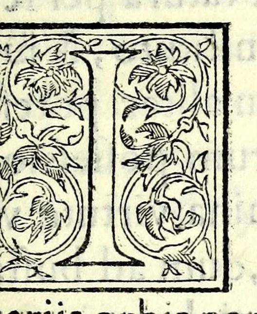 An illustration from De Etruriae regionis : quae prima in orbe Europaeo habitata est, originibus, institutis, religione & moribus, & imprimis de aurei saeculi doctrina et uit a praestantissima quae in diuinationis sacrae usu posita est, 1551, leaf 227