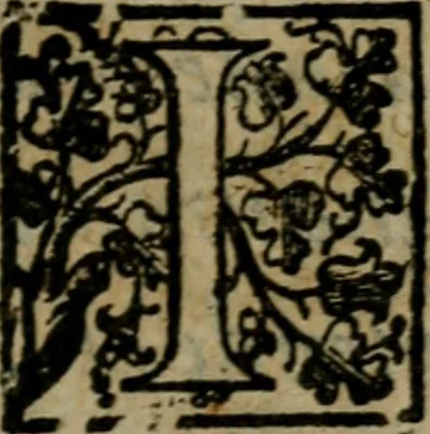 An illustration from De expvngendis haereticorvm propriis nominibus etiam de libris qui de religione ex professo nontractant. Adiecta est Iohan, 1576, leaf 118