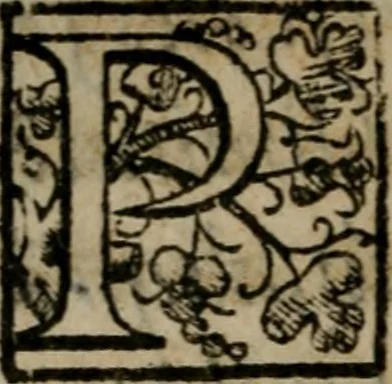 An illustration from De expvngendis haereticorvm propriis nominibus etiam de libris qui de religione ex professo nontractant. Adiecta est Iohan, 1576, leaf 125