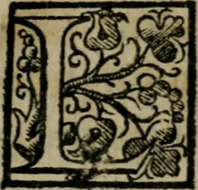 An illustration from De expvngendis haereticorvm propriis nominibus etiam de libris qui de religione ex professo nontractant. Adiecta est Iohan, 1576, leaf 14