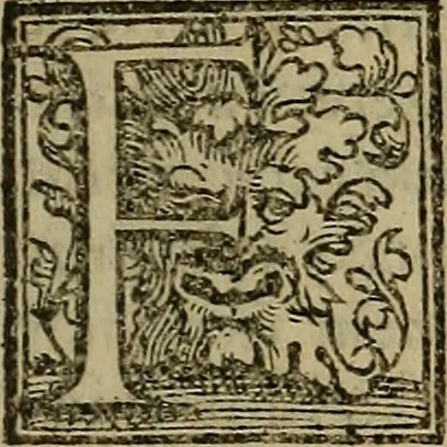An illustration from De febribus commentarius, 1555, leaf 158