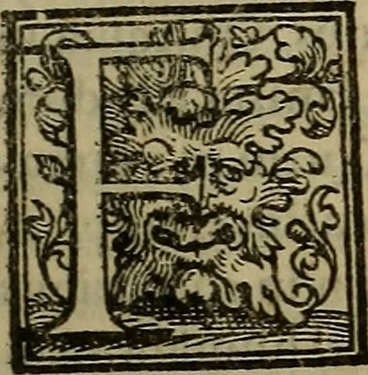 An illustration from De febribus commentarius, 1555, leaf 36