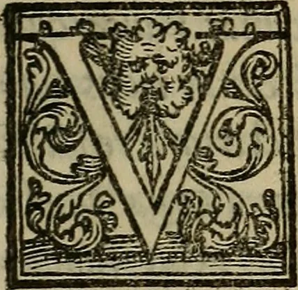 An illustration from De febribus commentarius, 1555, leaf 6