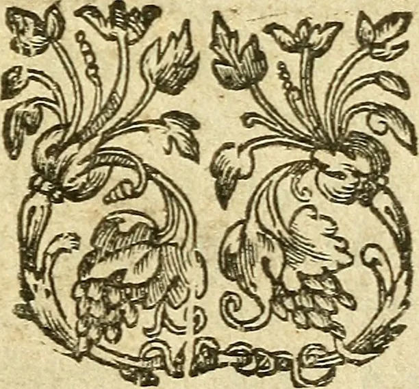 An illustration from A defence of church-government, exercised in presbyteriall, classicall, & synodall assemblies, according to the practise of the reformed churches : touching I. the power of a particular eldership against those that plead for a meere popular government, specially Mr Ainsvvorth in his Animadversion to Mr Clyft, &c. II. the authority of classes and synods, against the patrons of independencie, answering in this poynt Mr Davenport his Apologeticall reply, &c. and Mr Canne his Churches plea ..., 1641, leaf 4