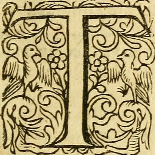 An illustration from A defence of church-government, exercised in presbyteriall, classicall, & synodall assemblies, according to the practise of the reformed churches : touching I. the power of a particular eldership against those that plead for a meere popular government, specially Mr Ainsvvorth in his Animadversion to Mr Clyft, &c. II. the authority of classes and synods, against the patrons of independencie, answering in this poynt Mr Davenport his Apologeticall reply, &c. and Mr Canne his Churches plea ..., 1641, leaf 62
