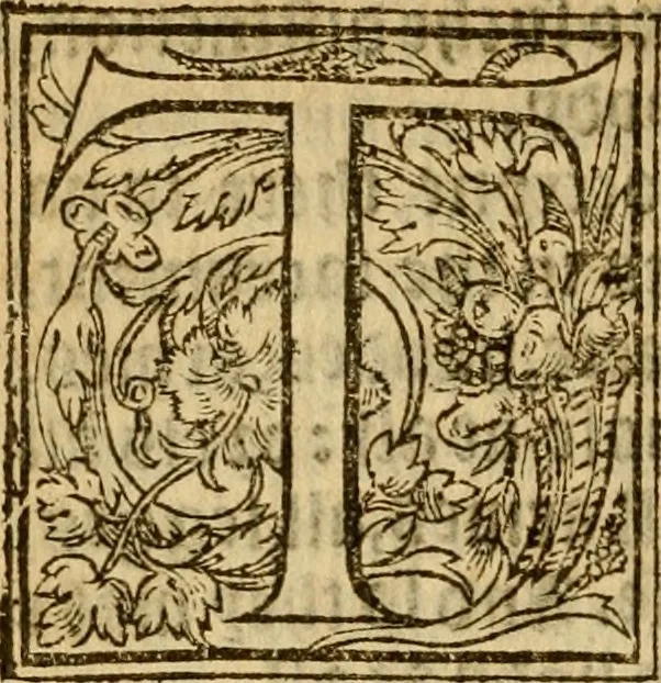 An illustration from A defence of the true and catholike doctrine of the sacrament of the body and bloud of our sauiour Christ : with a confutation of sundry errors concernyng the same, grounded and stablished upon Godes holy woorde & approved by ye consent of the moste auncient doctors of the churche, 1550, leaf 193