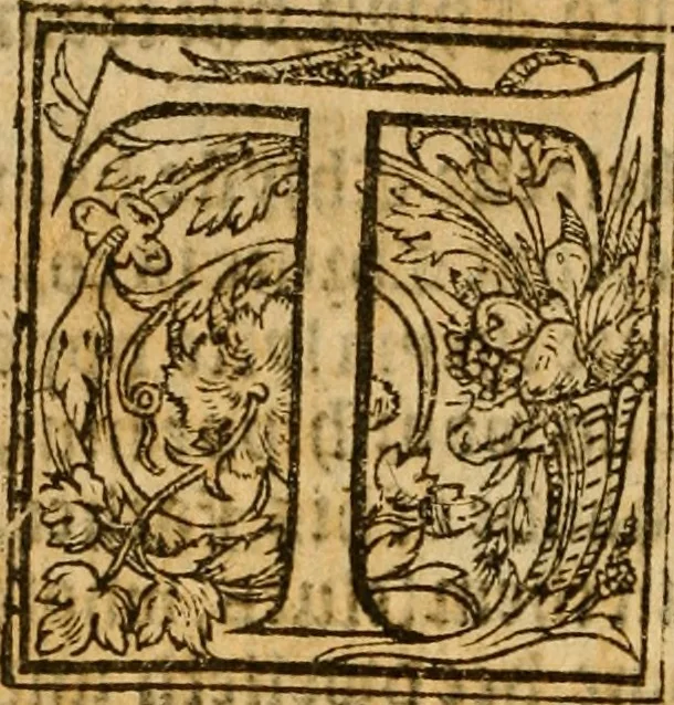 An illustration from A defence of the true and catholike doctrine of the sacrament of the body and bloud of our sauiour Christ : with a confutation of sundry errors concernyng the same, grounded and stablished upon Godes holy woorde & approved by ye consent of the moste auncient doctors of the churche, 1550, leaf 221