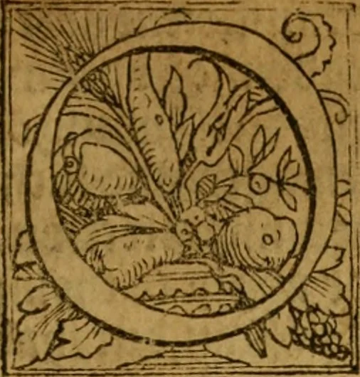 An illustration from A defence of the true and catholike doctrine of the sacrament of the body and bloud of our sauiour Christ : with a confutation of sundry errors concernyng the same, grounded and stablished upon Godes holy woorde & approved by ye consent of the moste auncient doctors of the churche, 1550, leaf 8