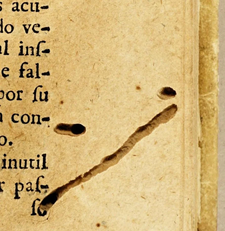An illustration from Defensa de los nuevos christianos, y missioneros de la China, Japon, y Indias. : Contra dos libros intitulados, La practica moral de los jesuitas, y el Espiritu de M. Arnaldo. Traducida de Frances en Español de la segunda impression, hecha en Paris, en casa de Estevan Michallet, impressor mayor del rey, en la Calle de Santiago, à la insignia de San Pablo, año 1688., 1690, leaf 145