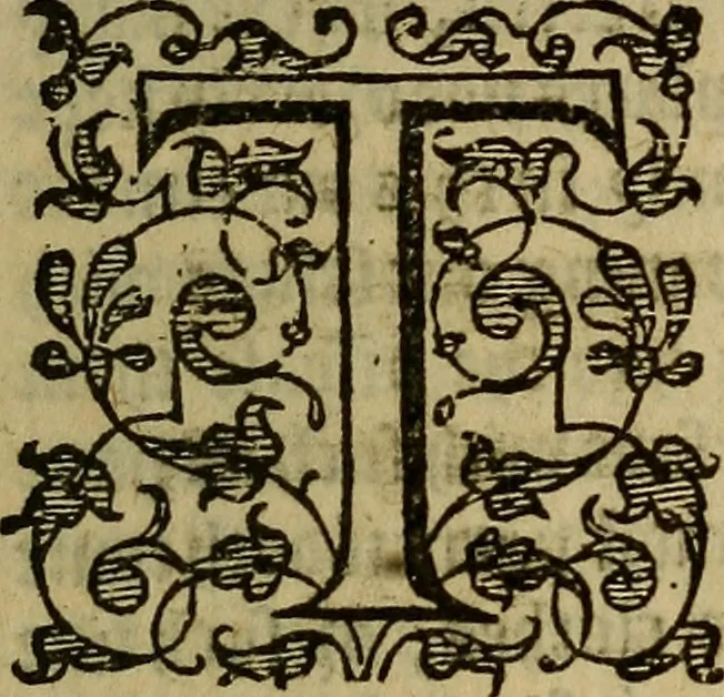 An illustration from A defensative against the plague : contayning two partes or treatises : the first, shewing the meanes how to preserue vs from the dangerous contagion thereof : the second, how to cure those that are infected therewith : whereunto is annexed a short treatise of the small poxe : shewing how to gouerne and helpe those that are infected therewith, 1593, leaf 18