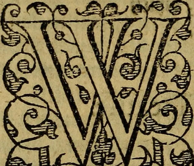 An illustration from A defensative against the plague : contayning two partes or treatises : the first, shewing the meanes how to preserue vs from the dangerous contagion thereof : the second, how to cure those that are infected therewith : whereunto is annexed a short treatise of the small poxe : shewing how to gouerne and helpe those that are infected therewith, 1593, leaf 43