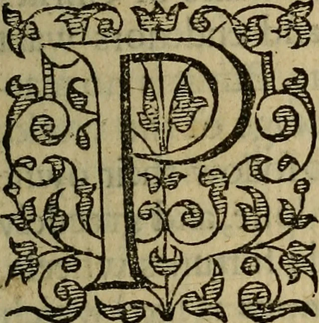 An illustration from A defensative against the plague : contayning two partes or treatises : the first, shewing the meanes how to preserue vs from the dangerous contagion thereof : the second, how to cure those that are infected therewith : whereunto is annexed a short treatise of the small poxe : shewing how to gouerne and helpe those that are infected therewith, 1593, leaf 8